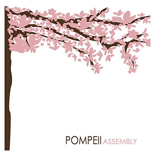 POMPEII - ASSEMBLY