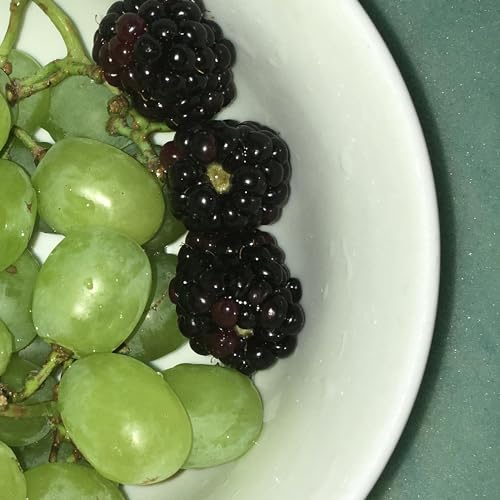 HANA VU - HOW MANY TIMES HAVE YOU DRIVEN BY (CD)