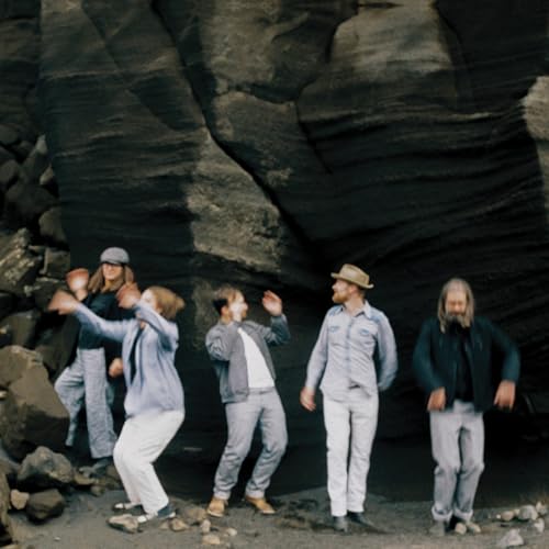 FRUITION - FRUITION (LP)