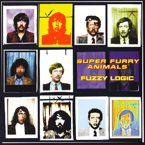 SUPER FURRY ANIMALS - FUZZY LOGIC (VINYL)