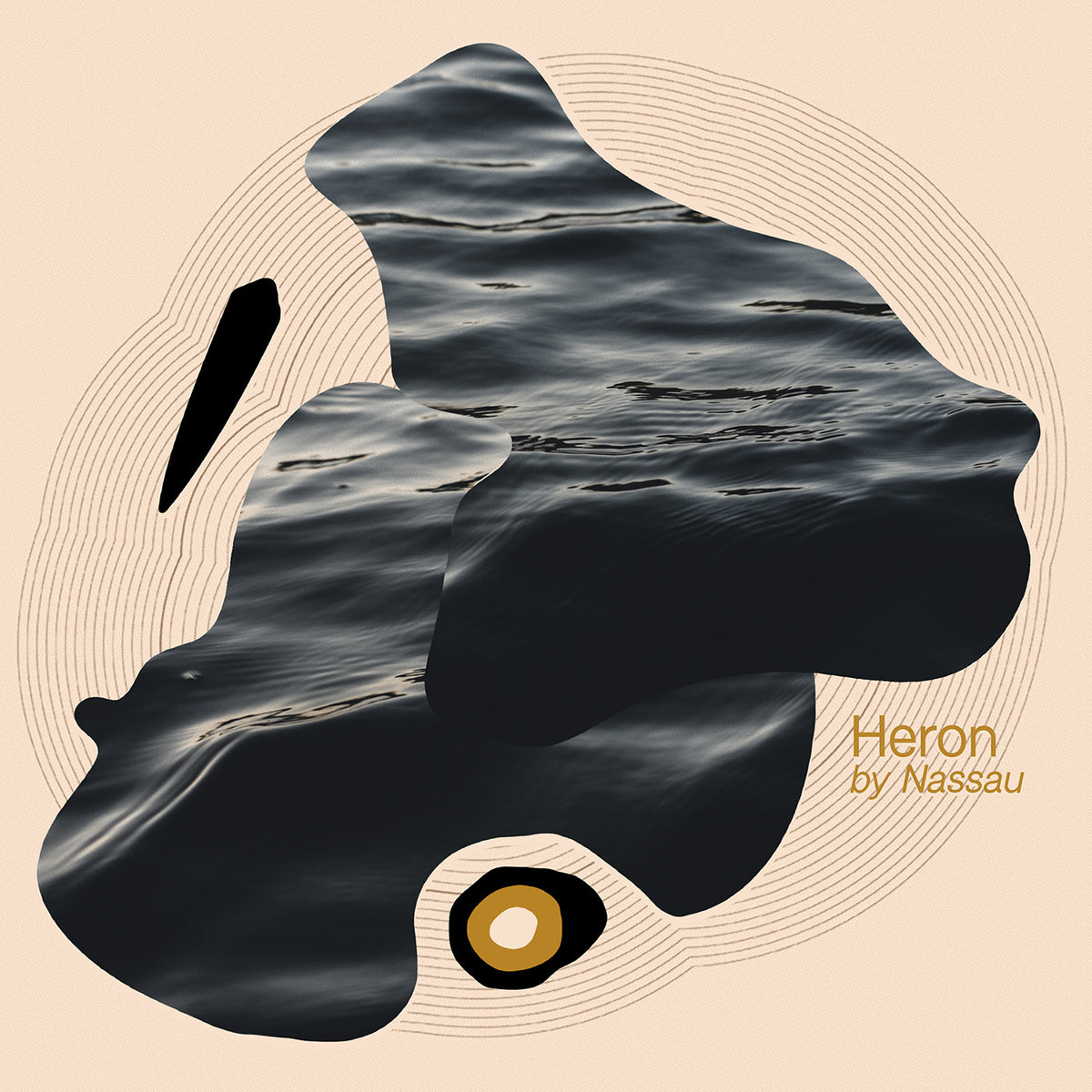NASSAU - HERON