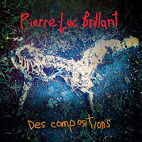 PIERRE-LUC BRILLANT - DES COMPOSITIONS (CD)