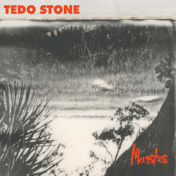 STONE, TEDO - MARSHES