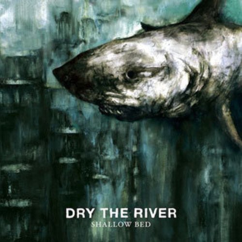 DRY THE RIVER - SHALLOW BED