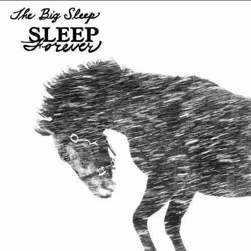 BIG SLEEP - SLEEP FOREVER