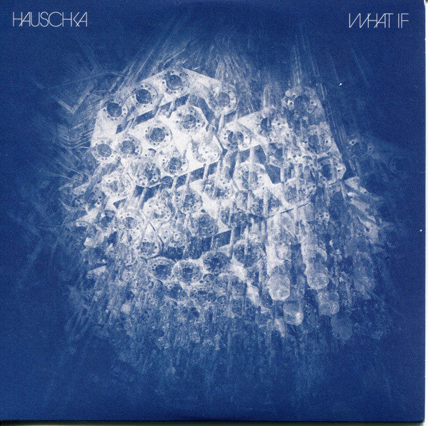 HAUSCHKA - WHAT IF