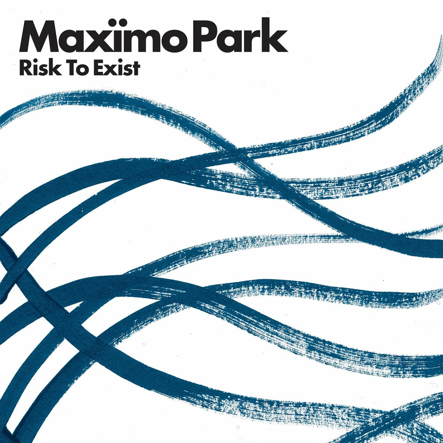 MAXIMO PARK - RISK TO EXIST