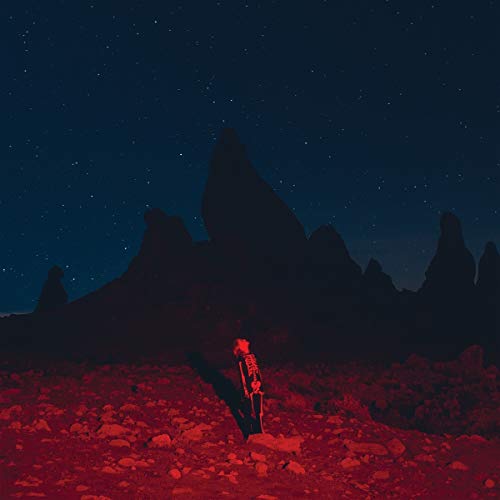 BRIDGERS,PHOEBE - PUNISHER (VINYL)