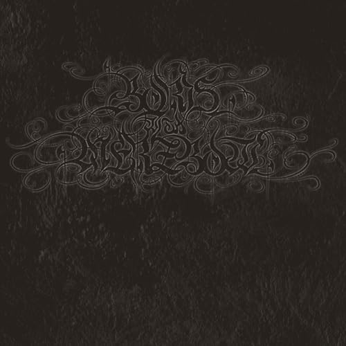 BORIS WITH MERZBOW - 4092001 (VINYL)