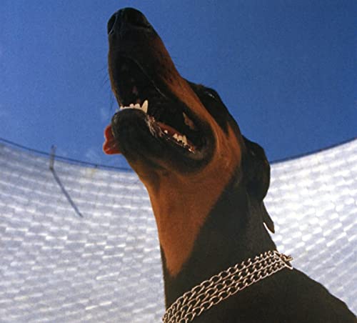 OVERMONO - GOOD LIES (CD)