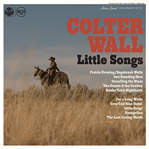 COLTER WALL - LITTLE SONGS (VINYL)