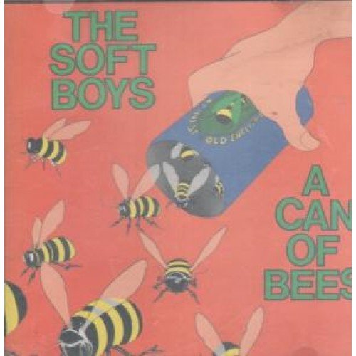SOFT BOYS - A CAN OF BEES