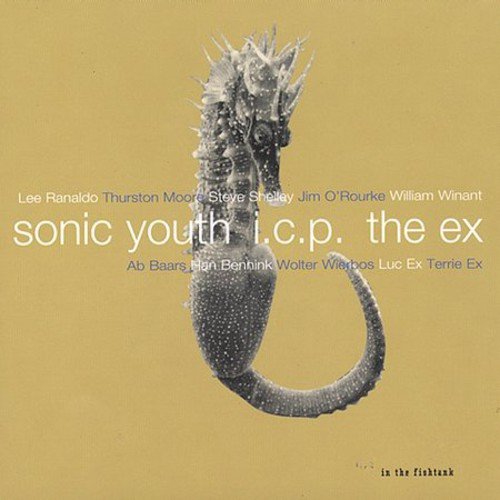 SONIC YOUTH/I.C.P./EX - IN THE FISHTANK
