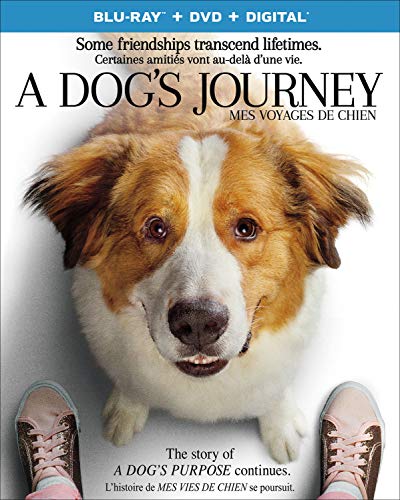 A DOG'S JOURNEY - BLU-INC. DVD COPY