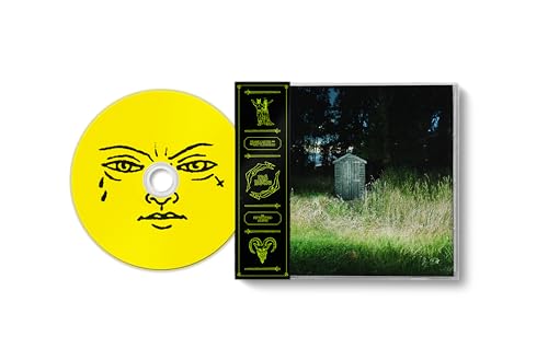 FRANK CARTER & THE RATTLESNAKES - DARK RAINBOW (CD)