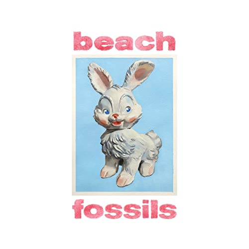 BEACH FOSSILS - BUNNY (CD)