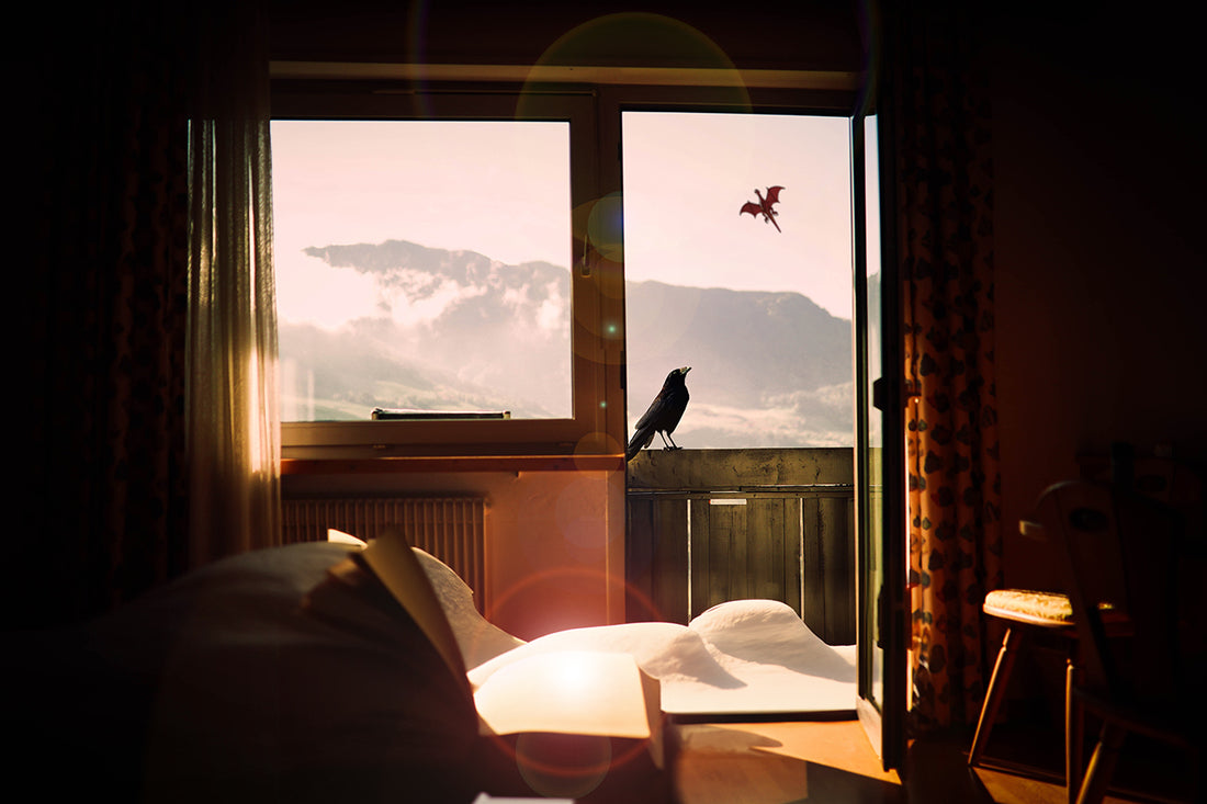 Winter Is Coming: Fantasy Series to Binge Before December