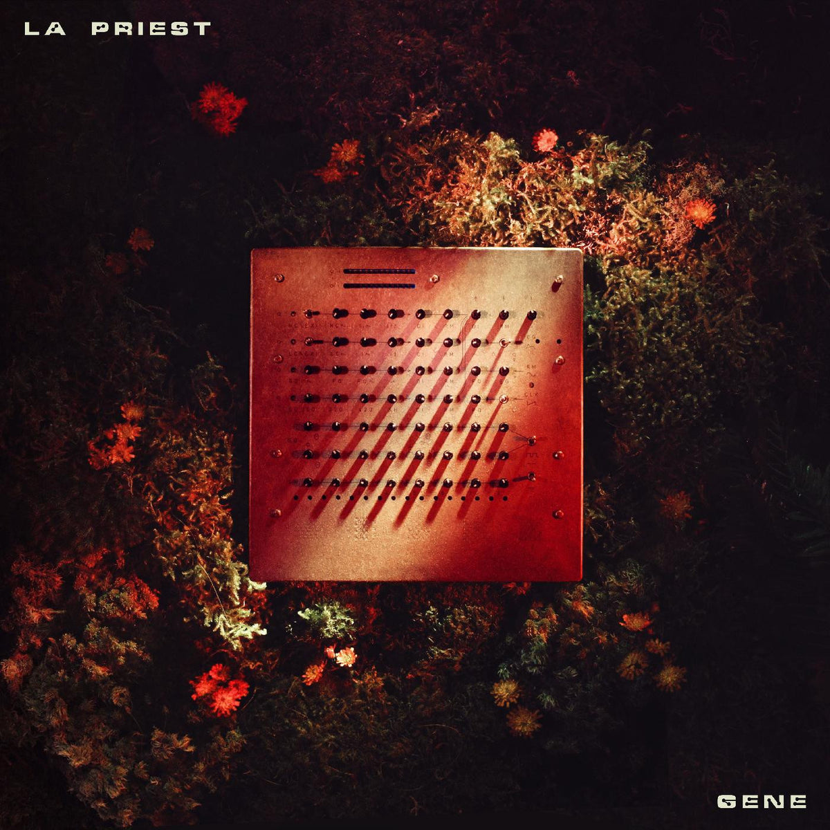 LA PRIEST - GENE