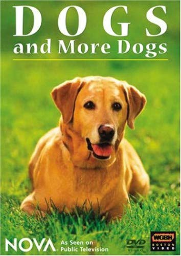 DOGS AND MORE DOGS