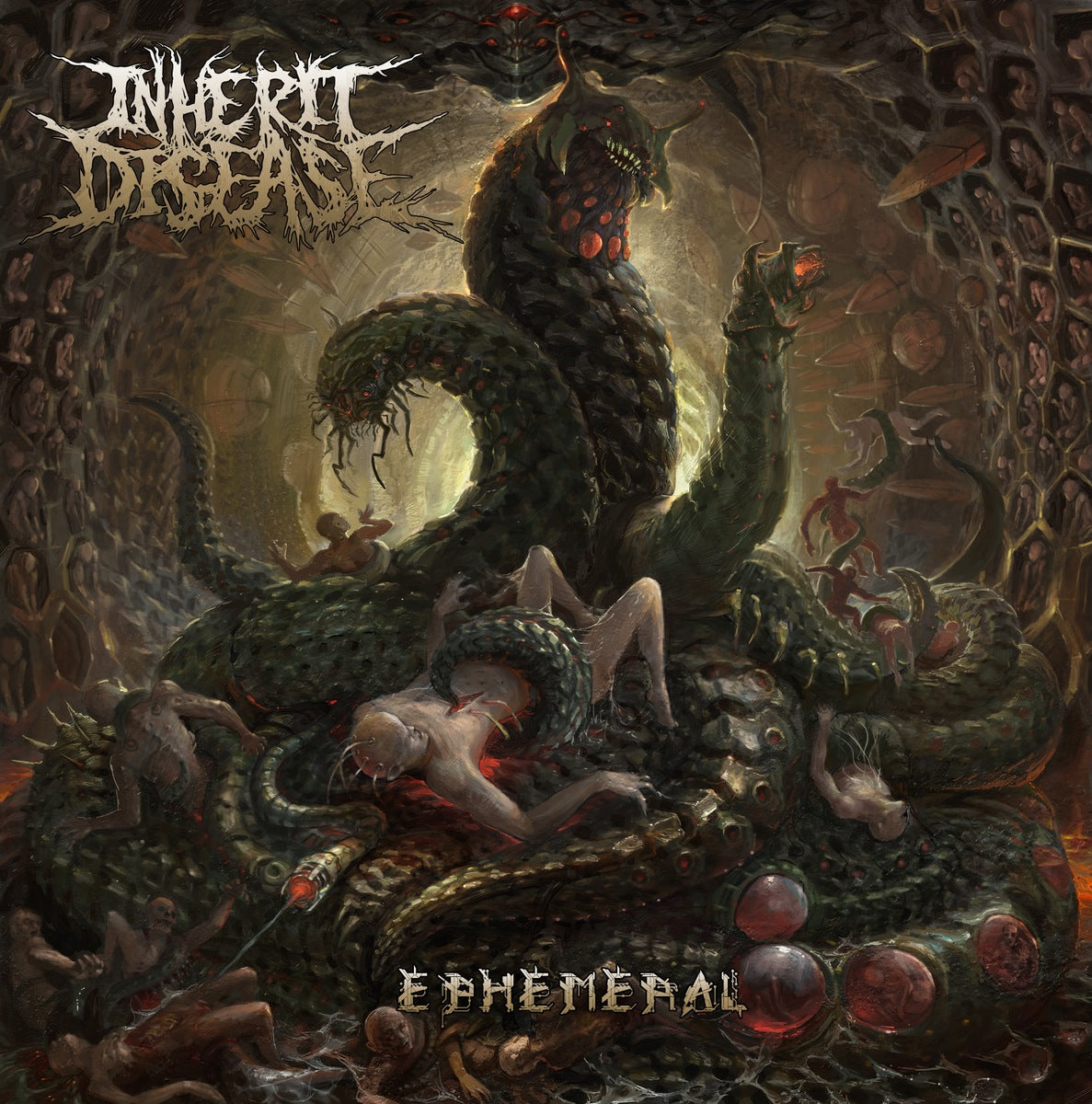 INHERIT DISEASE  - EPHEMERAL