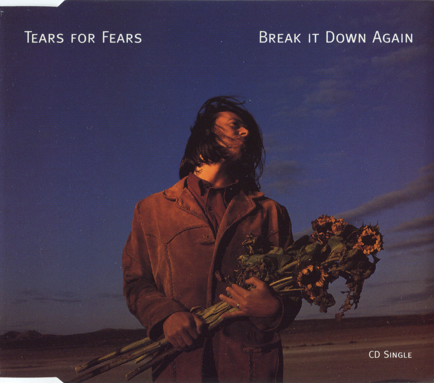 TEARS FOR FEARS  - BREAK IT DOWN AGAIN (LTD ED)(CDS)