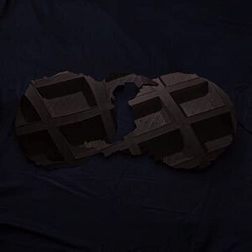 DIRTY PROJECTORS - DIRTY PROJECTORS (2LP/DL CARD)