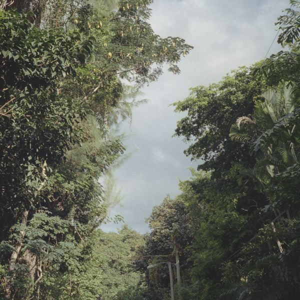 NELSON, ZAC - NEW ONCE