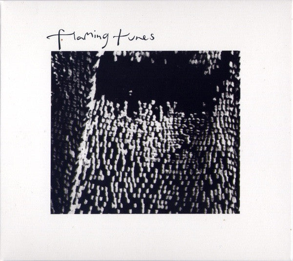 WILLIAMS, GARETH  - FLAMING TUNES