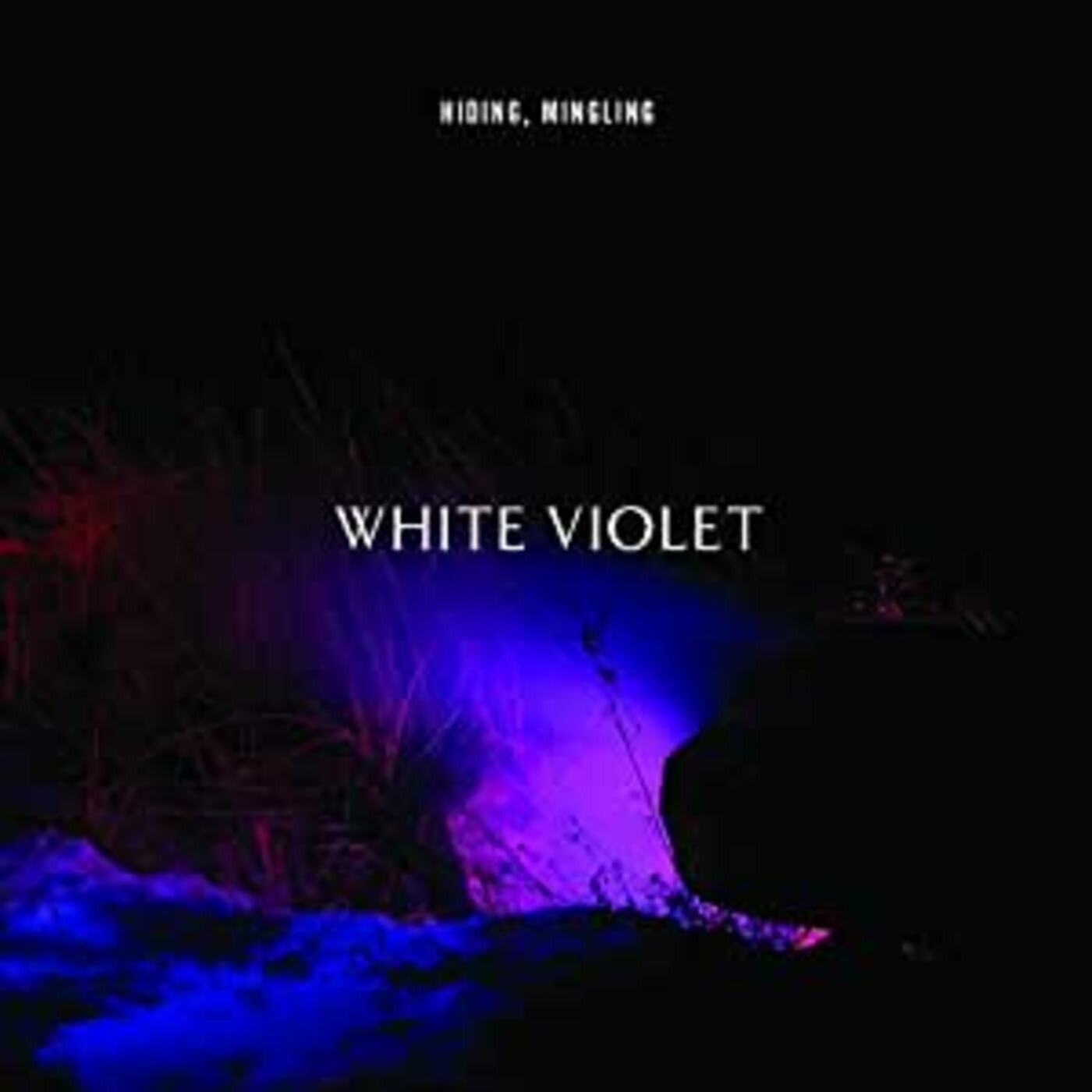 WHITE VIOLET - HIDING, MINGLING