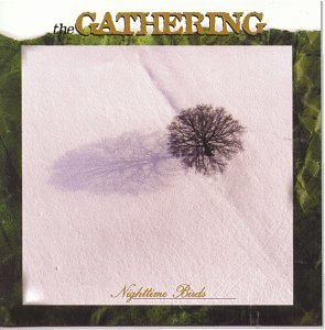 GATHERING - NIGHTTIME BIRDS