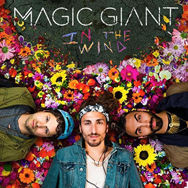 MAGIC GIANT  - IN THE WIND