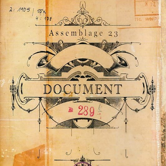 ASSEMBLAGE 23  - DOCUMENT