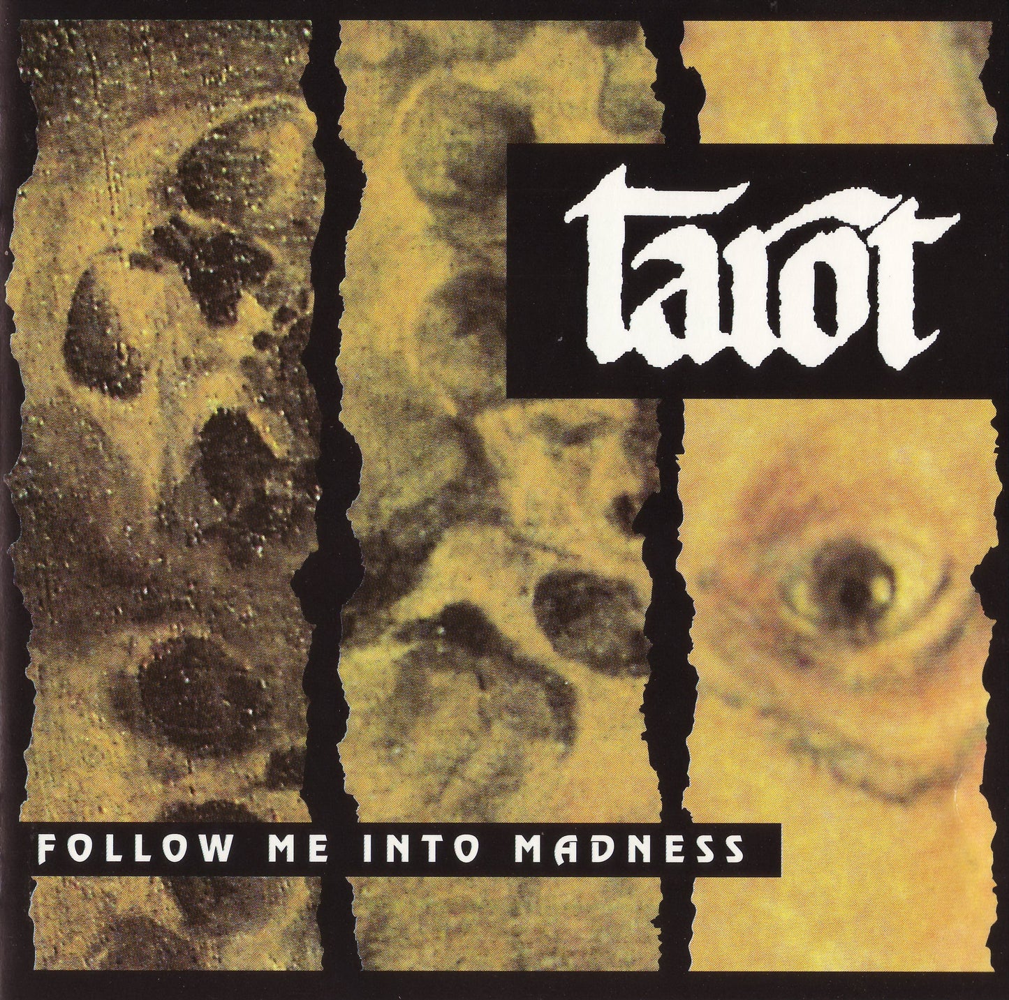 TAROT  - FOLLOW ME INTO MADNESS