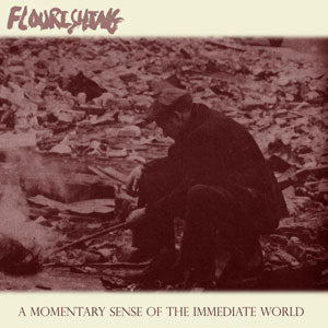 FLOURISHING  - A MOMENTARY SENSE OF THE...