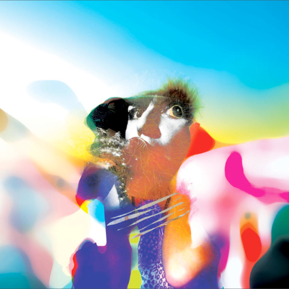 CRAZY P  - STOP SPACE RETURN