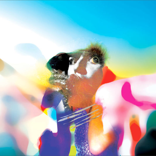 CRAZY P  - STOP SPACE RETURN