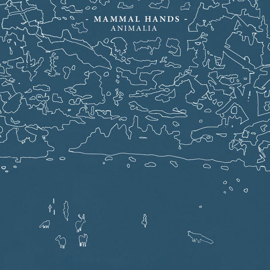 MAMMAL HANDS - ANIMALIA