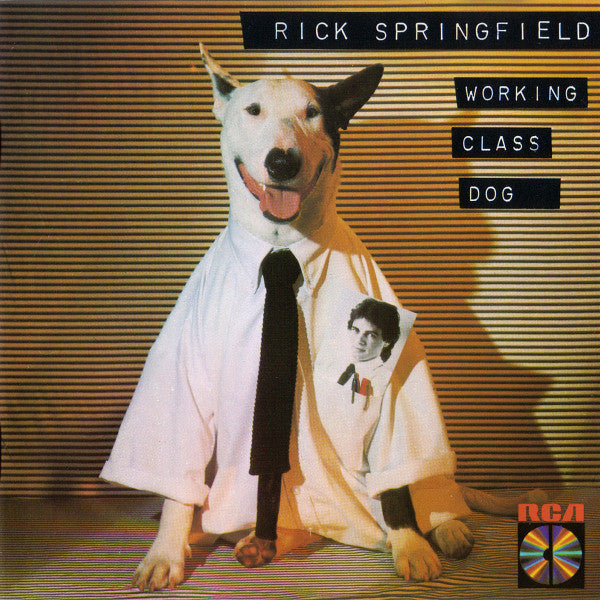 SPRINGFIELD, RICK  - WORKING CLASS DOG