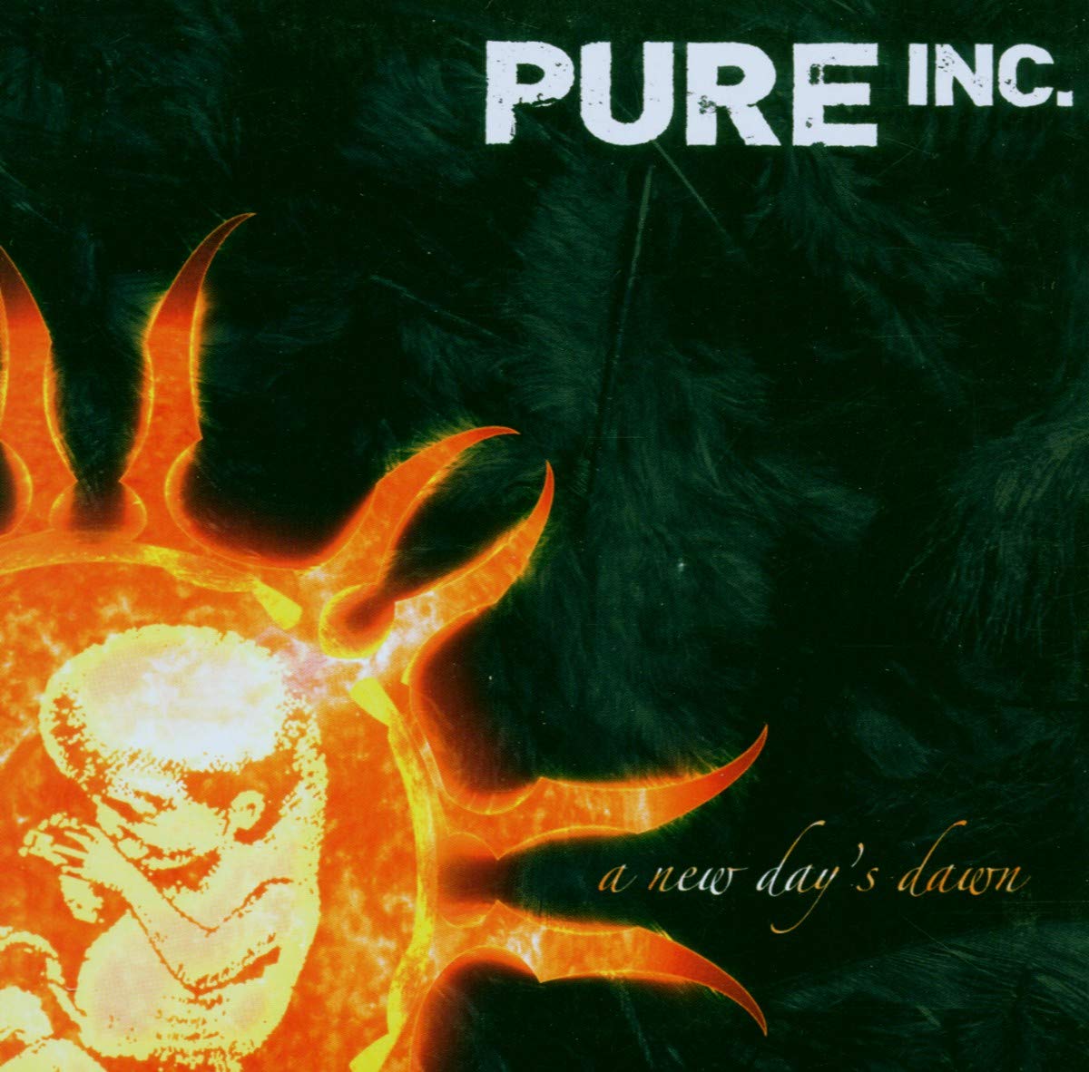 PURE INC.  - A NEW DAY'S DAWN