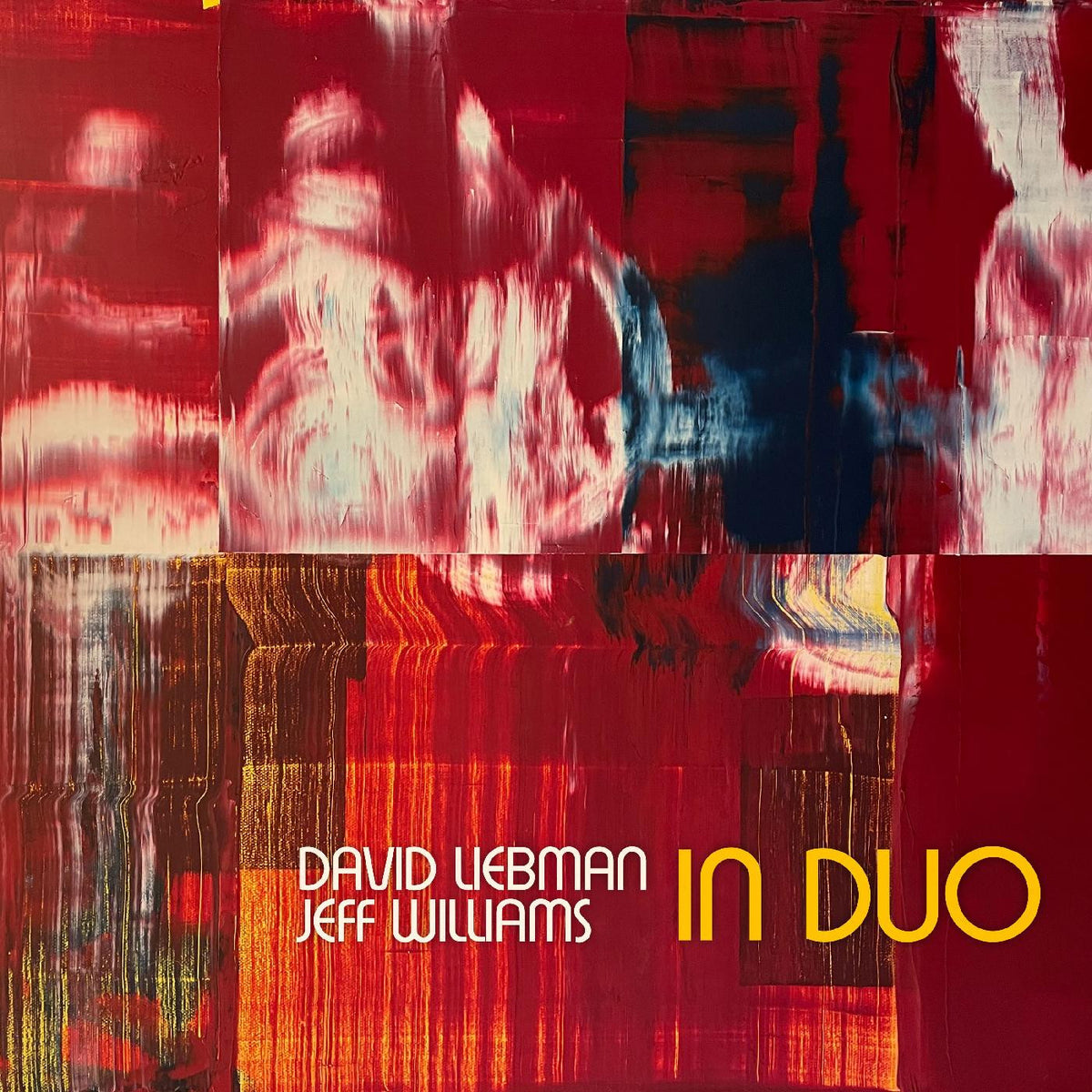 LIEBMAN, DAVE & JEFF WILLIAMS - IN DUO