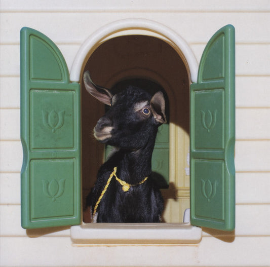 SUPERCHUNK  - WILD LONELINESS