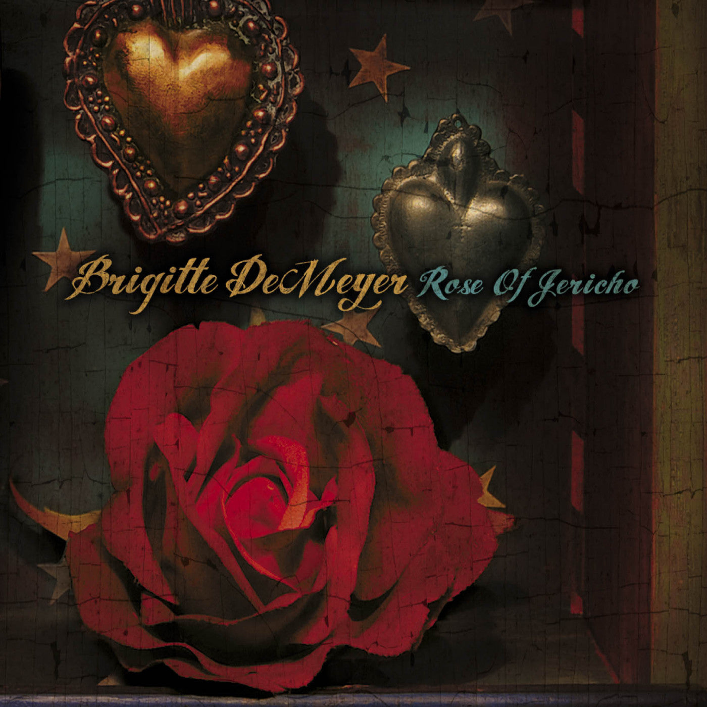 DEMEYER, BRIGITTE - ROSE OF JERICHO