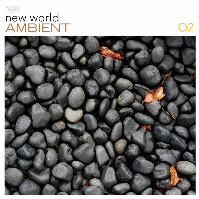 VARIOUS  - NEW WORLD AMBIENT