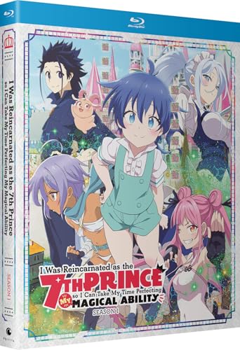 I WAS REINCARNATED AS THE 7TH PRINCE SO I CAN TAKE MY TIME PERFECTING MY MAGICAL ABILITY - SEASON 1 [BLU-RAY]