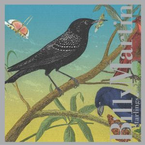 MARTIN, BILLY - STARLINGS