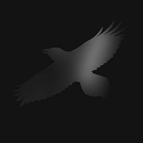 SIGUR ROS  - ODINS RAVEN MAGIC