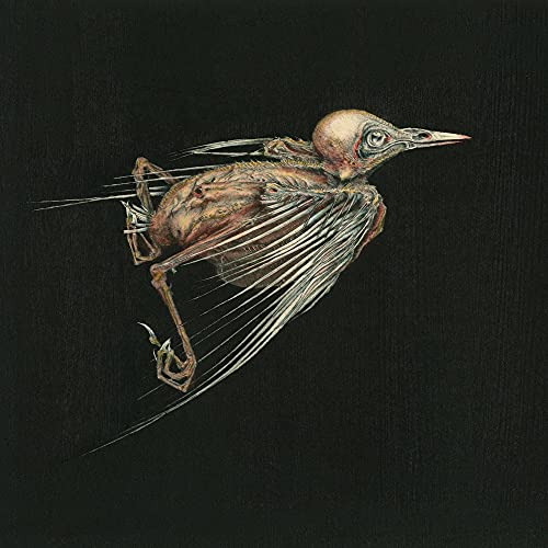 JENNY HVAL & SUSANNA - MESHES OF VOICE (CD)