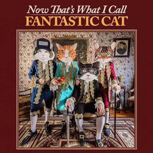 FANTASTIC CAT - NOW THAT'S WHAT I CALL FANTASTIC CAT (CD)
