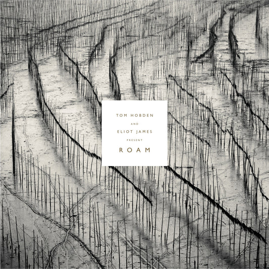 HOBDEN, TOM AND ELIOT JAMES - PRESENT: ROAM