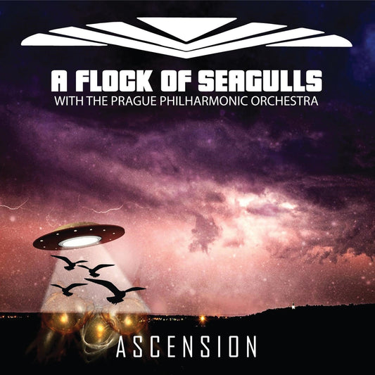 A FLOCK OF SEAGULLS  - ASCENSION